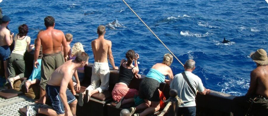 Madeira Pirate Ship: 3-Hour Boat Trip - Practical Details and Tips