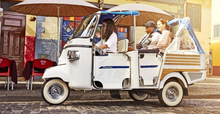 Madeira: Private Funchal City Tour in a Tukxi - Who Should Take This Tour?