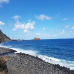 Madeira: Private Guided Half-Day Tour of Northwest Madeira - What’s Included and What’s Not