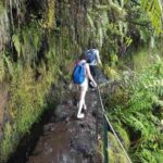 Madeira: Private Guided Levada Caldeirão Verde Walk PR9 - Final Thoughts: Who Is It Best For?
