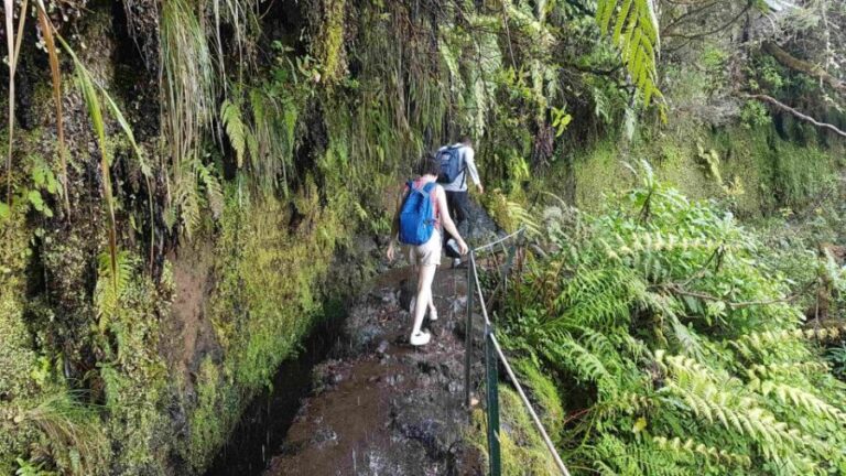 Madeira: Private Guided Levada Caldeirão Verde Walk PR9 - Final Thoughts: Who Is It Best For?