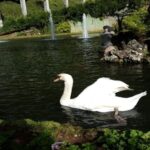 Madeira: Private Half-Day Guided Gardens Tour - Final Thoughts