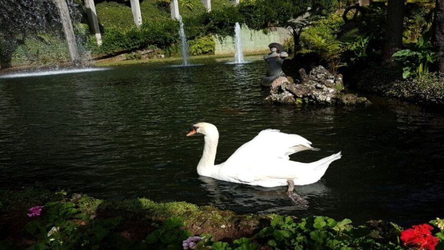 Madeira: Private Half-Day Guided Gardens Tour - Final Thoughts