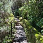 Madeira: Private Levada/Hike Experience with a Local Guide - Analyzing the Value