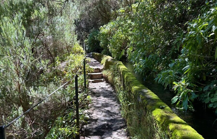 Madeira: Private Levada/Hike Experience with a Local Guide - Analyzing the Value