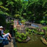 Madeira: Private Monte tour on a Tukxi - Final Thoughts