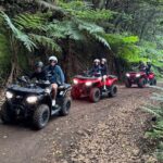 Madeira Private Off-road Quad Bike Experience - The Sum Up: Who Is This Tour For?