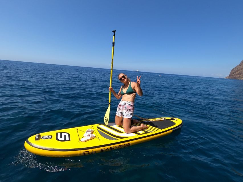 Madeira: Private Paddleboard & Snorkel - Who Should Consider This Tour?