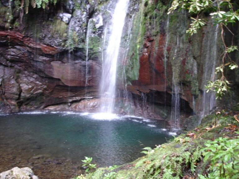 Madeira: Rabaçal Valleys 3-Hour Guided Walk - Discovering Madeira’s Natural Wonders