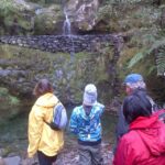 Madeira: Ribeiro Frio to Portela 4-Hour Guided Walk - Final Thoughts