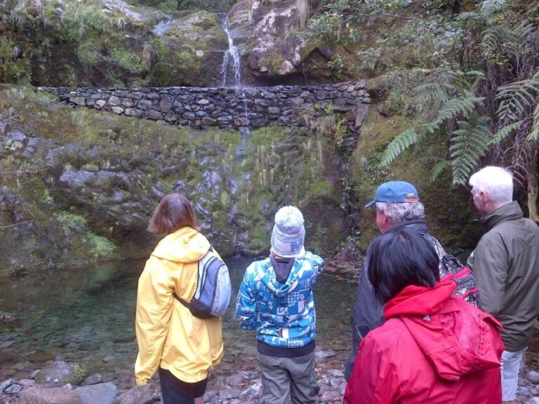 Madeira: Ribeiro Frio to Portela 4-Hour Guided Walk - Final Thoughts