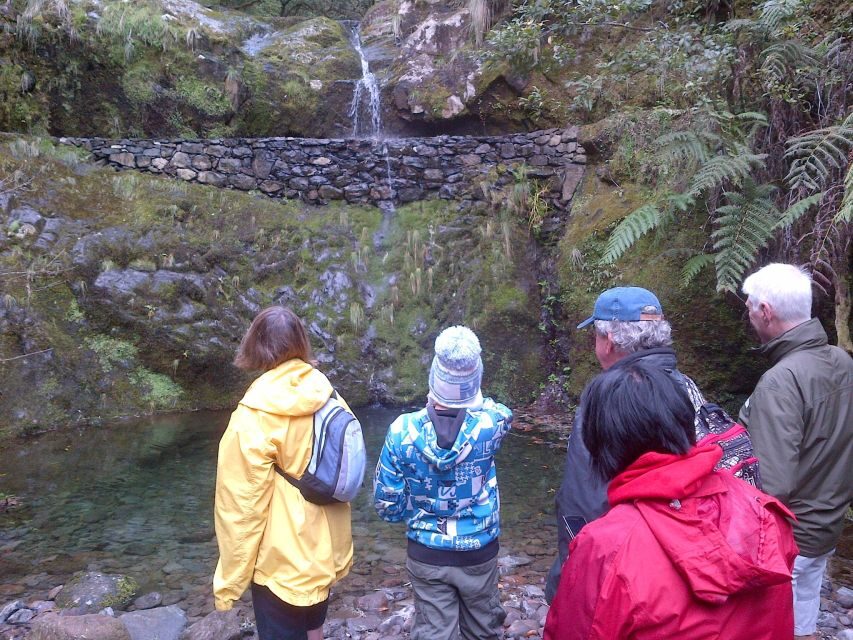 Madeira: Ribeiro Frio to Portela 4-Hour Guided Walk - Final Thoughts