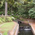 Madeira: Santana Traditional Houses Private Half-Day Tour - The Sum Up