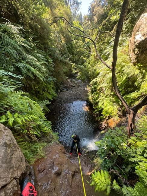 Madeira Short Canyoning For Beginners Rochão Level 1 - A Detailed Look at the Madeira Canyoning Experience