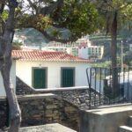 Madeira South West: Half Day Private Tour - An In-Depth Look at Madeira South West: Half Day Private Tour