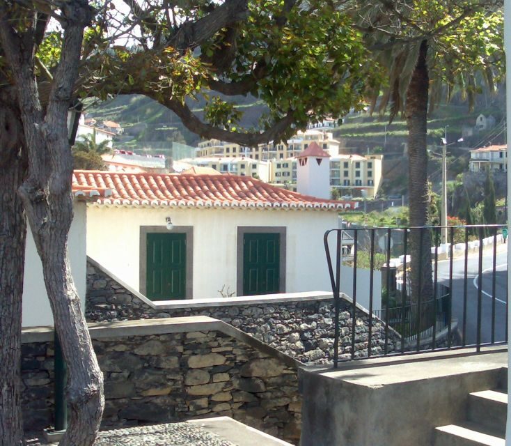 Madeira South West: Half Day Private Tour - An In-Depth Look at Madeira South West: Half Day Private Tour