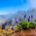 Madeira Stairway to Heaven to Larano Hike Mountain to Sea - Breaking Down the Itinerary