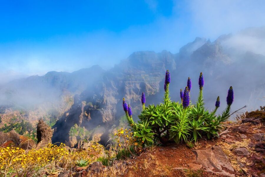 Madeira Stairway to Heaven to Larano Hike Mountain to Sea - Breaking Down the Itinerary