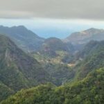 Madeira: Surreal East Experience - A Closer Look at the Tour Experience