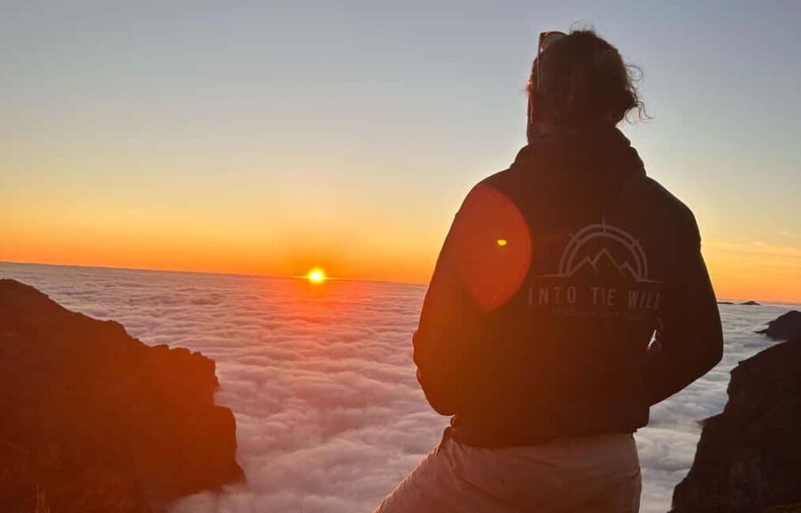 Madeira: Unforgettable Sunrise & Hike Experience - Who Is This Tour Best For?