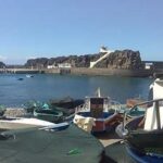 Madeira: Vineyard Tour w/ Wine Tasting & Skywalk - In-Depth Look at the Madeira Vineyard Tour