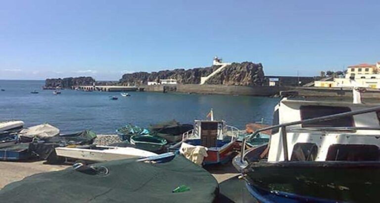 Madeira: Vineyard Tour w/ Wine Tasting & Skywalk - In-Depth Look at the Madeira Vineyard Tour