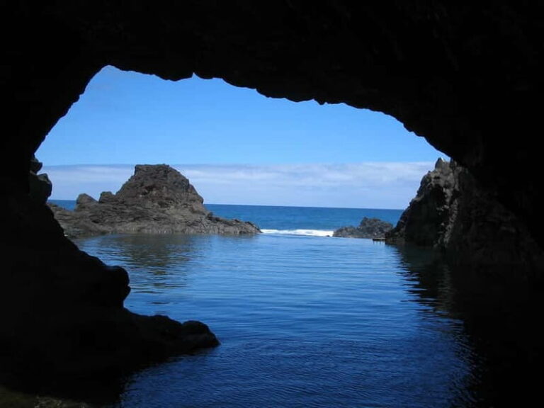 Madeira West Island Full-Day Tour with Fanal Forest - Pricing and Value