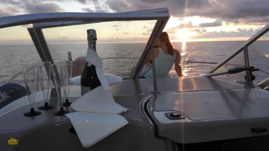 Madeira: Whale and Dolphin Watching Private Cruise - Why This Tour Offers Real Value