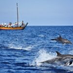 Madeira: Whale Watching Excursion in a Traditional Vessel - A Closer Look at the Whale Watching Experience