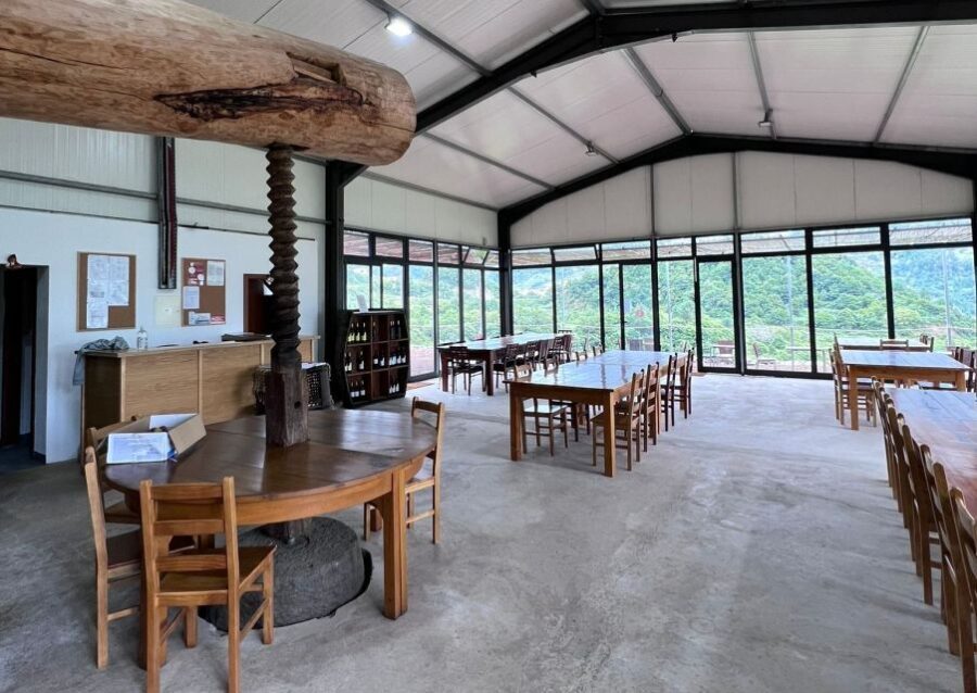 Madeira: Wine Tasting Guided Tour, Jeep Safari, & Viewpoints - Who Should Consider This Tour?