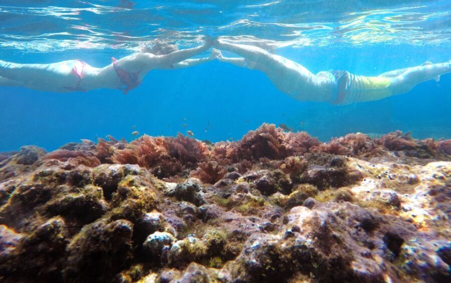 Madeiras Marine Reserve: Kayak & Snorkelling Trip - Who Should Consider This Tour?
