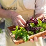 Maggie Beer's Farm Hands-on Cooking School and Lunch - Discovering Maggie Beers Farm: An Authentic Food and Culture Hub