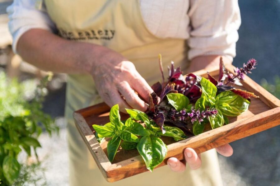 Maggie Beer's Farm Hands-on Cooking School and Lunch - Discovering Maggie Beers Farm: An Authentic Food and Culture Hub