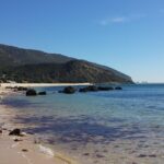 Magic Arrábida Tour - Transportation, Price, and Overall Value