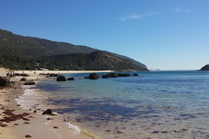 Magic Arrábida Tour - Transportation, Price, and Overall Value