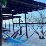 Magic Island Holbox! Experience From Cancun & Playa del Carmen - Authentic Experiences and Practical Tips