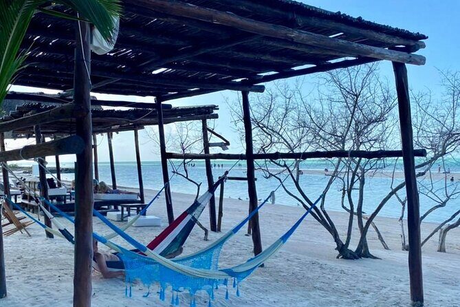Magic Island Holbox! Experience From Cancun & Playa del Carmen - Authentic Experiences and Practical Tips