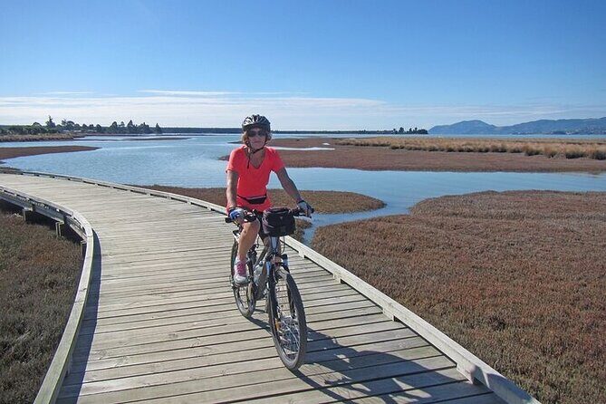 Magical Mapua Charms in off-summer Season Selfguided Cycle Tour - A Detailed Look at the Experience