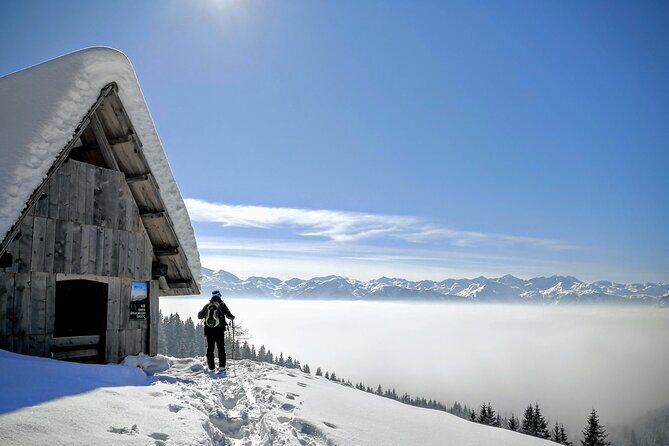 Magical Snowshoeing in Bohinj valley - Who Is This Tour Best For?