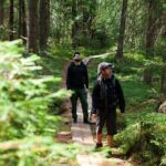 Magical Taiga Forest Hike with Lunch and Transportation - Who Will Love This Tour?