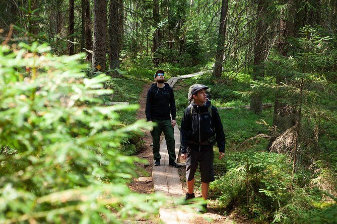 Magical Taiga Forest Hike with Lunch and Transportation - Who Will Love This Tour?