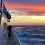 Magical Whales in the Midnight Sun | from Reykjavik - FAQ