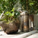 Magical World of Beekeeping on São Miguel Azores Private Tour - FAQs
