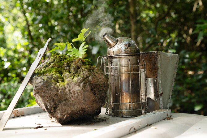 Magical World of Beekeeping on São Miguel Azores Private Tour - FAQs