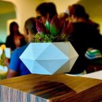Magnetic Floating Terrarium Workshop - An In-Depth Look at the Magnetic Floating Terrarium Workshop