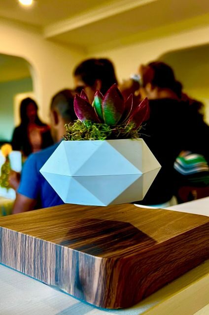 Magnetic Floating Terrarium Workshop - An In-Depth Look at the Magnetic Floating Terrarium Workshop