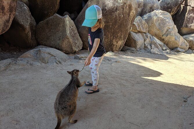 Magnetic Island Afternoon Tour - Exploring the Highlights of Magnetic Island in Comfort and Style