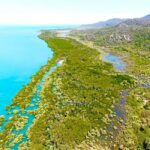 Magnetic Island: West Coast Eco Adventure Bus Tour - Who Is This Tour Best For?