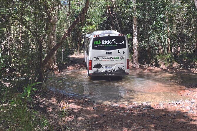 Magnetic Island: West Coast Eco Adventure - Who Should Book This Tour?