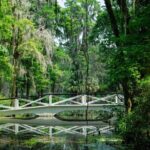 Magnolia Plantation Tour with transportation PLUS City Bus Tour - Why Choose This Tour? Practical Insights
